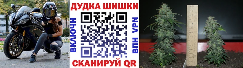 Где купить наркоту Курчатов Гашиш  A PVP  Мефедрон  блэк спрут ссылка  Бошки Шишки  Галлюциногенные грибы 