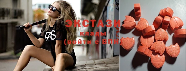 шишки Заволжье