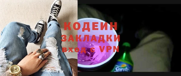 шишки Заволжье