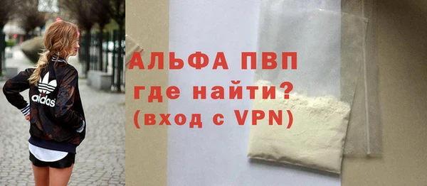шишки Заволжье