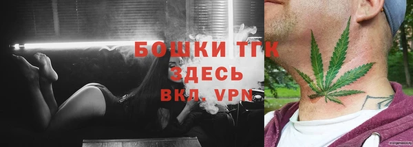 шишки Заволжье