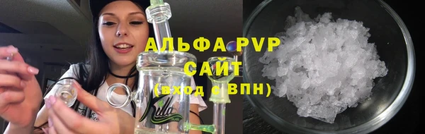 шишки Заволжье