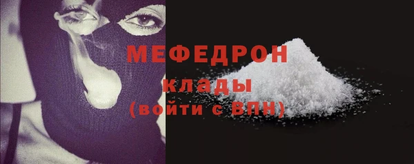 шишки Заволжье
