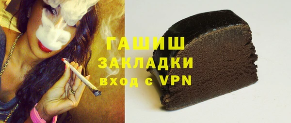 шишки Заволжье
