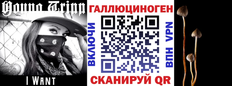 Псилоцибиновые грибы GOLDEN TEACHER купить наркотики цена Курчатов